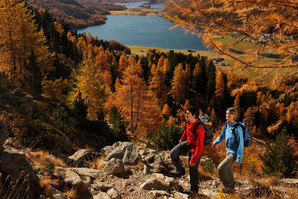 Goldener Herbst St. Moritz